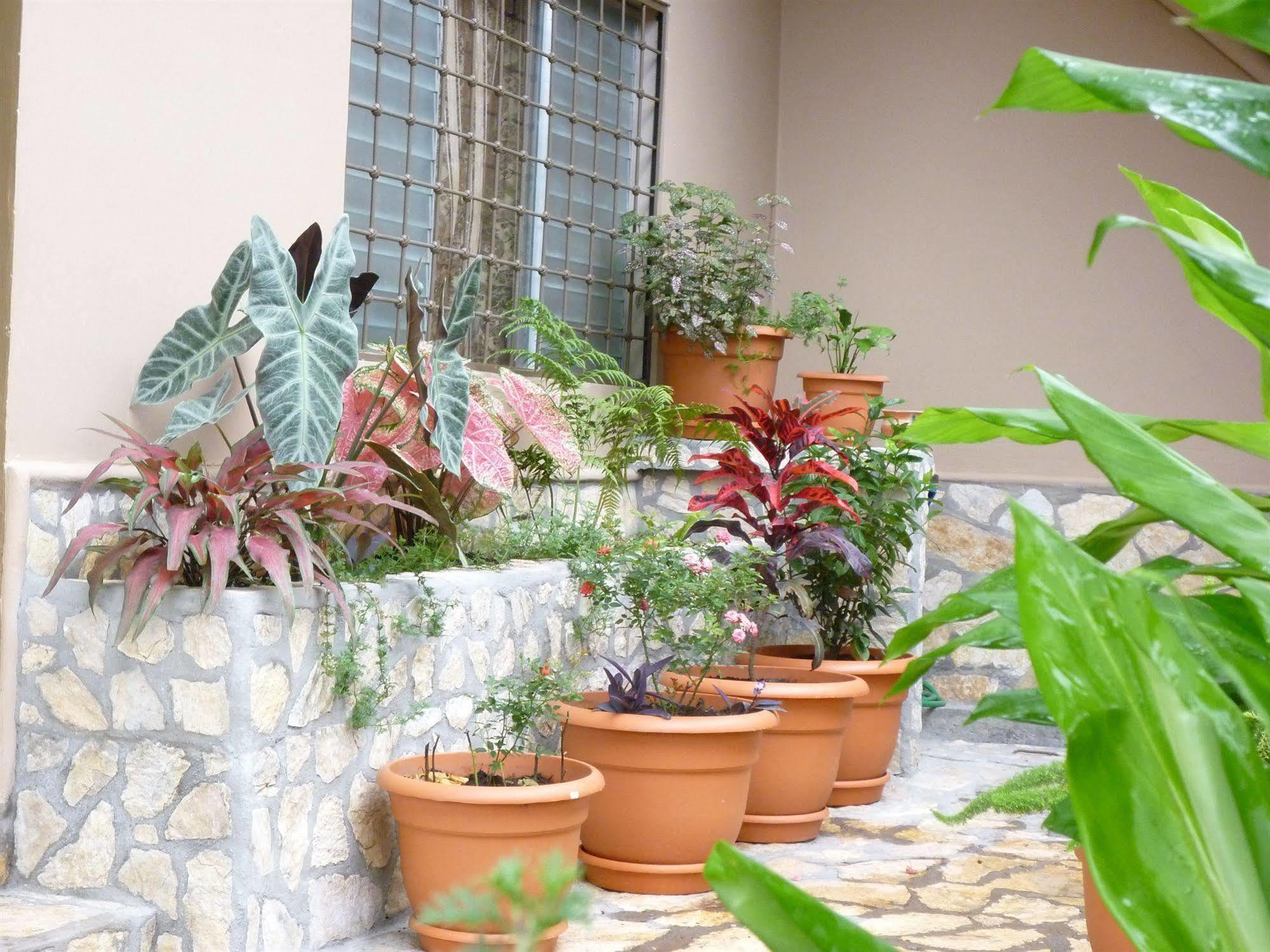 Hotel La Escalinata Copan Bagian luar foto
